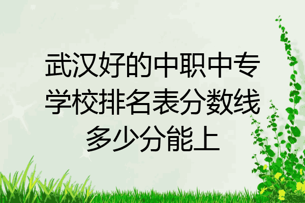 武汉好的中职中专学校排名表分数线多少分能上