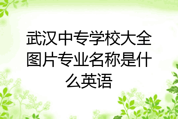武汉中专学校大全图片专业名称是什么英语