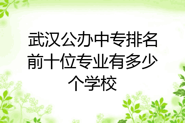 武汉公办中专排名前十位专业有多少个学校