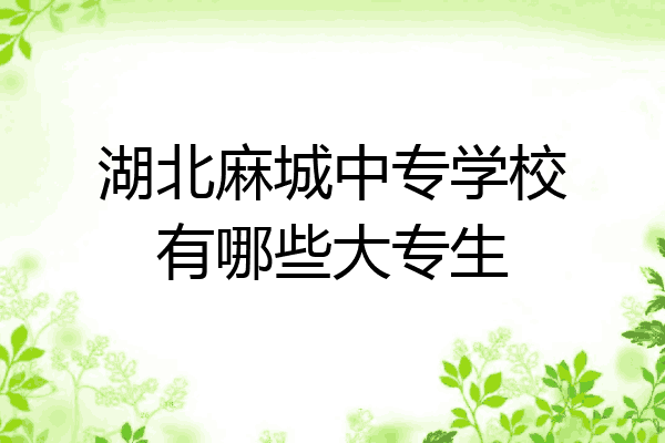 湖北麻城中专学校有哪些大专生