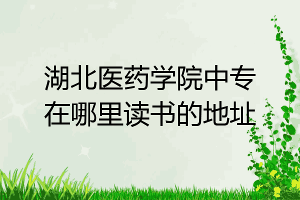 湖北医药学院中专在哪里读书的地址
