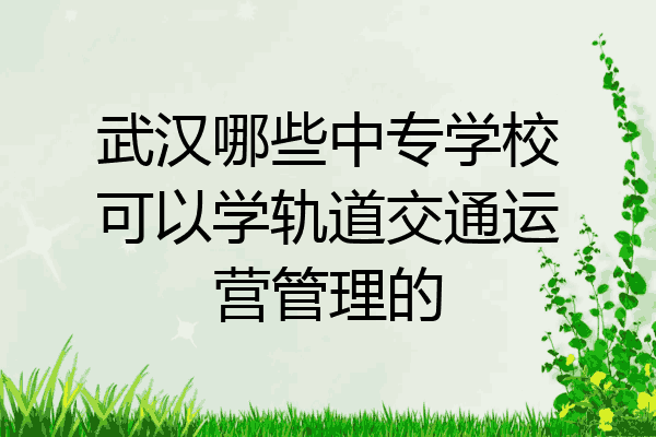 武汉哪些中专学校可以学轨道交通运营管理的