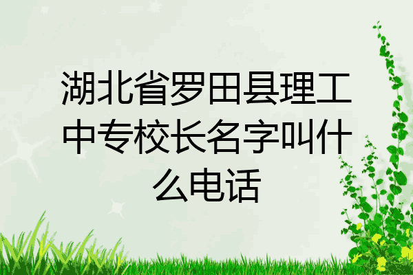 湖北省罗田县理工中专校长名字叫什么电话