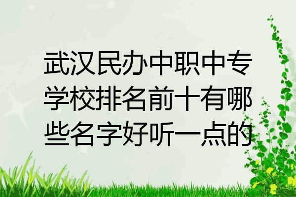 武汉民办中职中专学校排名前十有哪些名字好听一点的