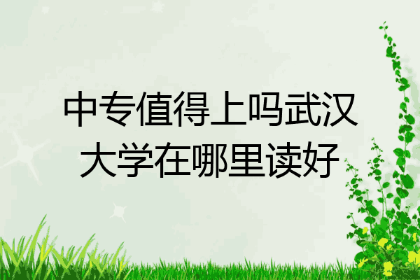 中专值得上吗武汉大学在哪里读好
