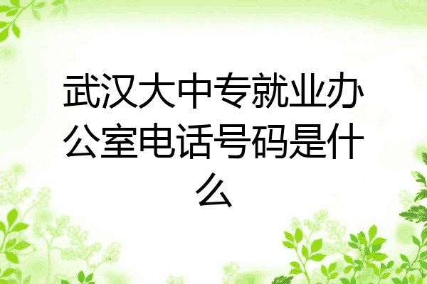武汉大中专就业办公室电话号码是什么