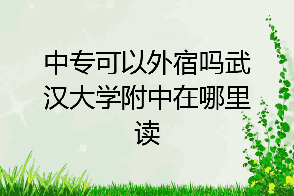 中专可以外宿吗武汉大学附中在哪里读