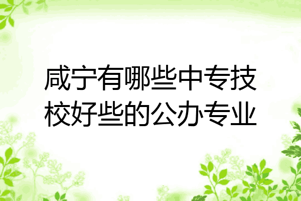 咸宁有哪些中专技校好些的公办专业