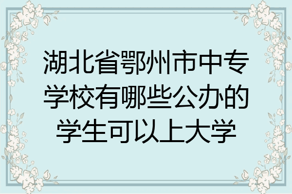 湖北省鄂州市中专学校有哪些公办的学生可以上大学