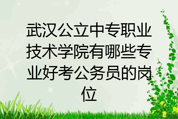 武汉公立中专职业技术学院有哪些专业好考公务员的岗位