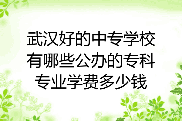 武汉好的中专学校有哪些公办的专科专业学费多少钱