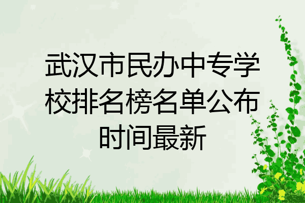 武汉市民办中专学校排名榜名单公布时间最新