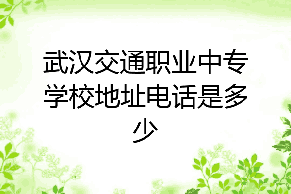 武汉交通职业中专学校地址电话是多少