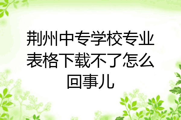 荆州中专学校专业表格下载不了怎么回事儿