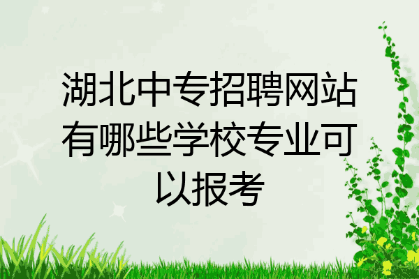 湖北中专招聘网站有哪些学校专业可以报考