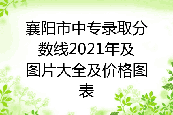 襄阳市中专录取分数线2021年及图片大全及价格图表