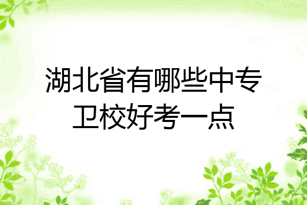 湖北省有哪些中专卫校好考一点