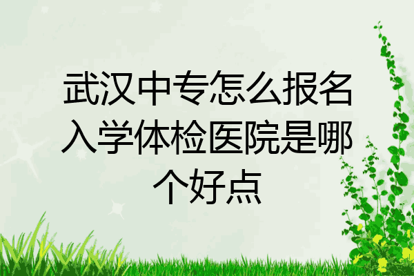 武汉中专怎么报名入学体检医院是哪个好点