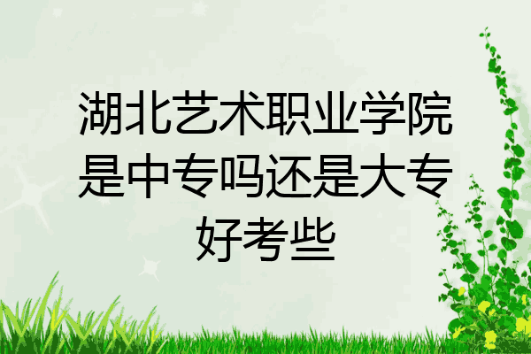 湖北艺术职业学院是中专吗还是大专好考些