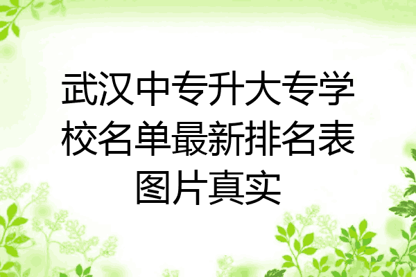 武汉中专升大专学校名单最新排名表图片真实