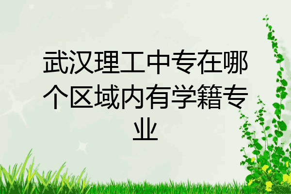 武汉理工中专在哪个区域内有学籍专业