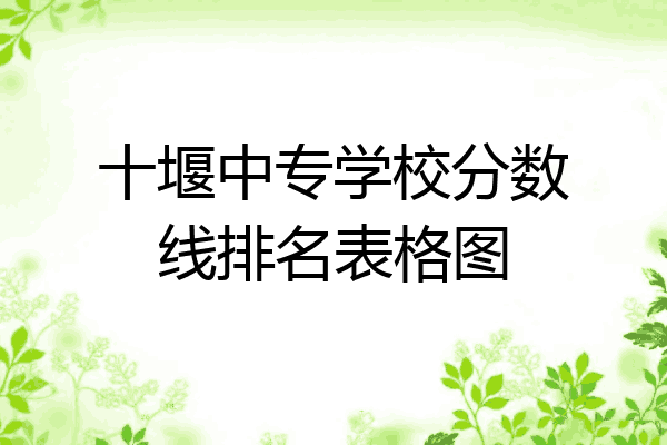 十堰中专学校分数线排名表格图