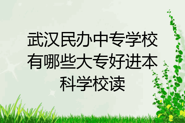 武汉民办中专学校有哪些大专好进本科学校读