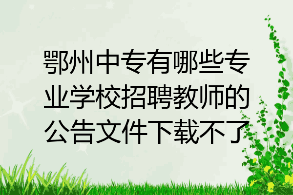 鄂州中专有哪些专业学校招聘教师的公告文件下载不了