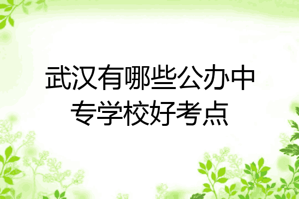 武汉有哪些公办中专学校好考点