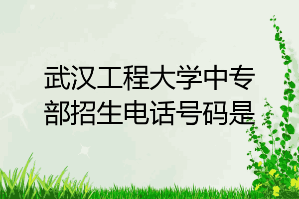 武汉工程大学中专部招生电话号码是