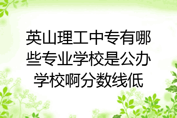 英山理工中专有哪些专业学校是公办学校啊分数线低