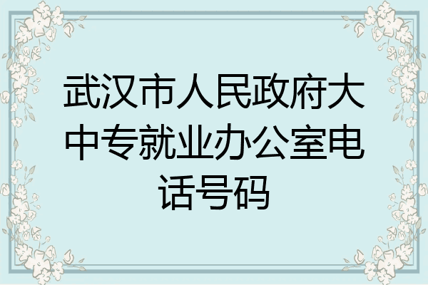 武汉市人民政府大中专就业办公室电话号码