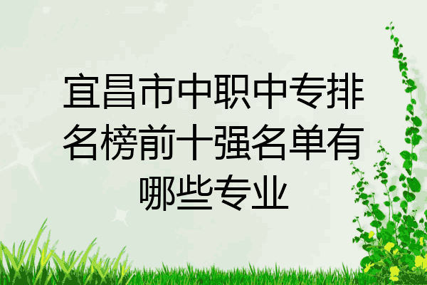 宜昌市中职中专排名榜前十强名单有哪些专业