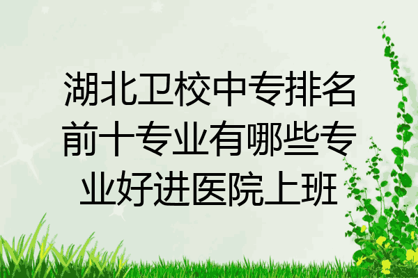 湖北卫校中专排名前十专业有哪些专业好进医院上班
