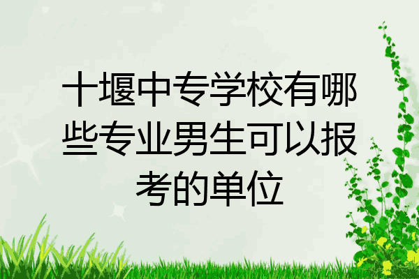 十堰中专学校有哪些专业男生可以报考的单位