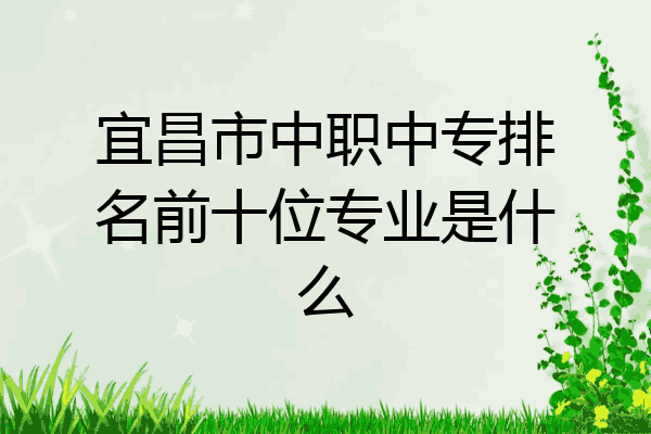 宜昌市中职中专排名前十位专业是什么