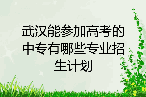 武汉能参加高考的中专有哪些专业招生计划