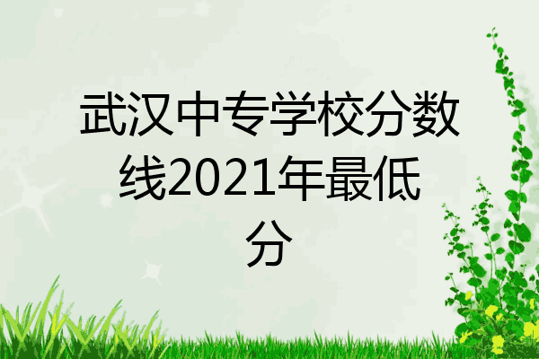 武汉中专学校分数线2021年最低分