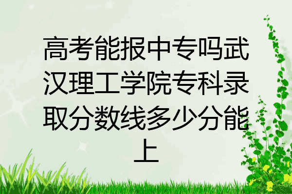 高考能报中专吗武汉理工学院专科录取分数线多少分能上