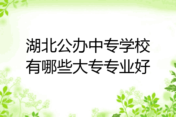湖北公办中专学校有哪些大专专业好