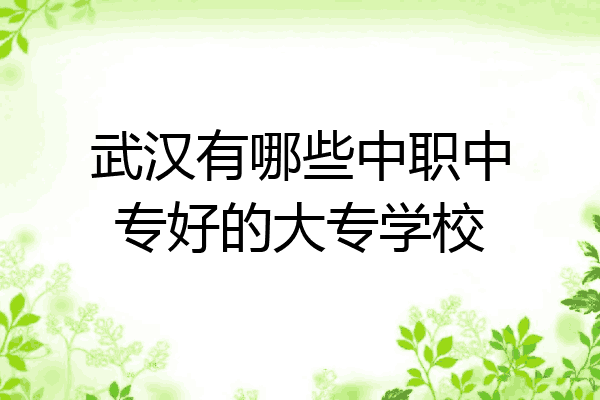 武汉有哪些中职中专好的大专学校