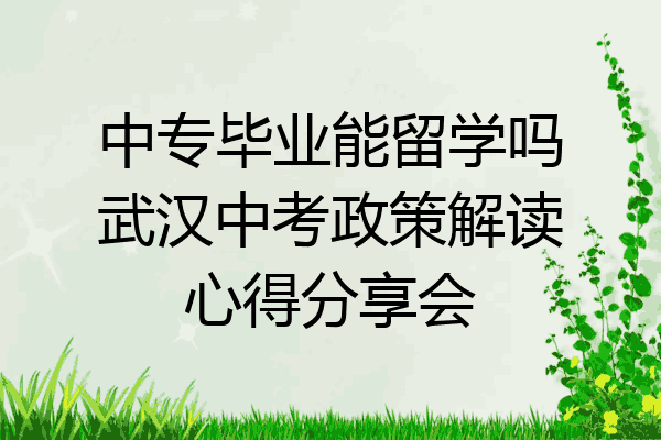 中专毕业能留学吗武汉中考政策解读心得分享会