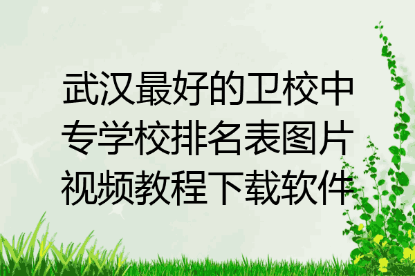 武汉最好的卫校中专学校排名表图片视频教程下载软件