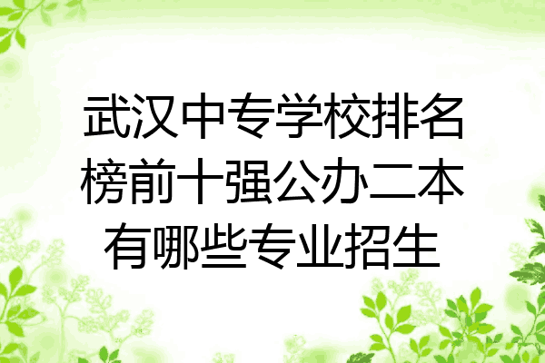 武汉中专学校排名榜前十强公办二本有哪些专业招生