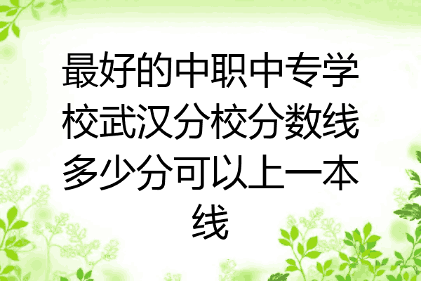 最好的中职中专学校武汉分校分数线多少分可以上一本线