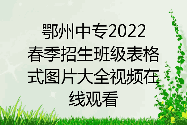 鄂州中专2022春季招生班级表格式图片大全视频在线观看