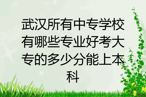 武汉所有中专学校有哪些专业好考大专的多少分能上本科
