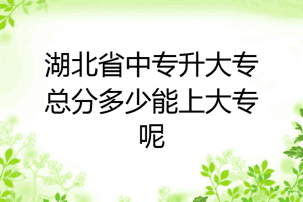 湖北省中专升大专总分多少能上大专呢