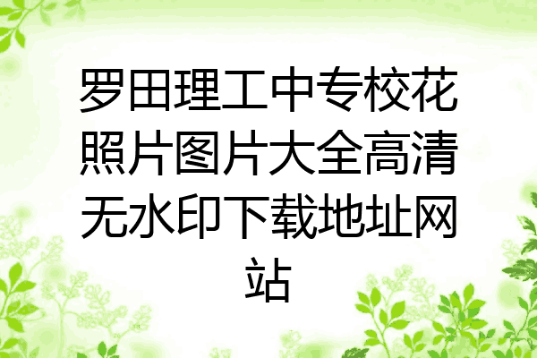 罗田理工中专校花照片图片大全高清无水印下载地址网站