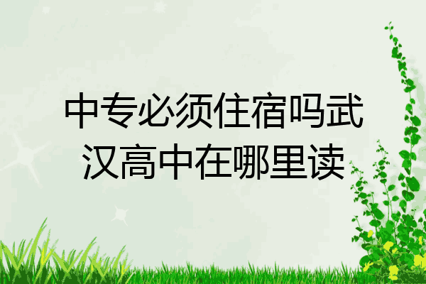 中专必须住宿吗武汉高中在哪里读